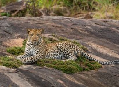 10 Days Safari And Island Collection Tour