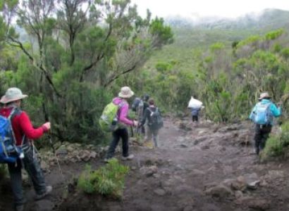 9 Days Mt. Kilimanjaro Trek Tour