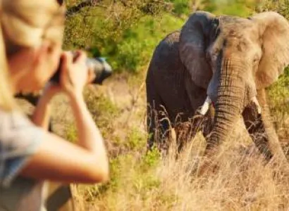 Migration 9 Days Safari Tour