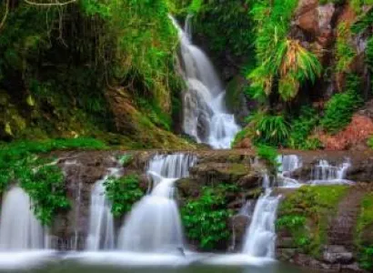 Magical Queensland 8 Nights - 9 Days Tour