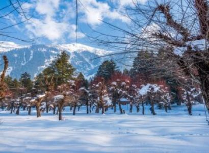 Kashmir Family Delight 6 Days - 5 Nights Tour