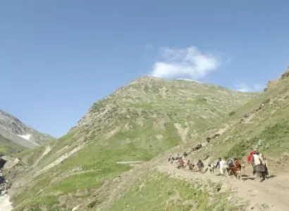 Baltal Tour Packages