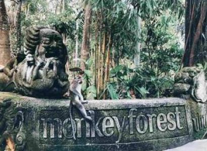 1Day Ubud Monkey Forest Tour