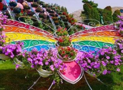 1 Day Dubai Butterfly Garden Tour