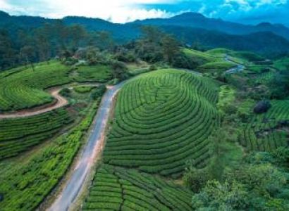 3N Munnar - Mararikulam Tour Package