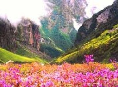 7N Darjeeling - Pelling - Gangtok - Lachung Tour