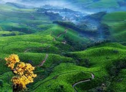 7N Cochin - Munnar - Thekkady - Alleppey - Kovalam Tour