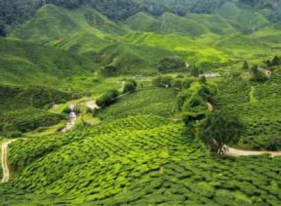 4 Days Kaziranga - Guwahati Tour