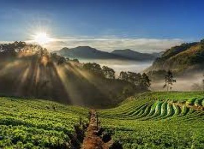 5 Days Gangtok - Darjeeling Tour