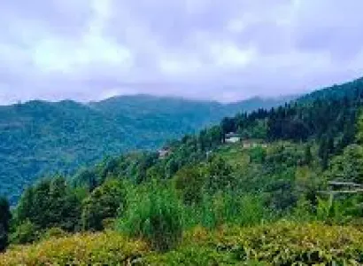 6 Days Darjeeling - Kalimpong - Gangtok Tour Package