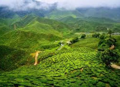 7 Days Gangtok - Darjeeling Tour Package