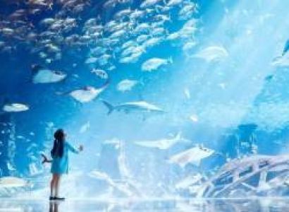 4 Days Dubai Sky High Thrills Tour Package