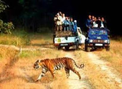 Nainital - Jim Corbett And Kausani 4 Night - 5 Days Package