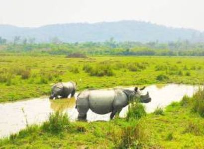 Kaziranga 3n 4d Itinerary