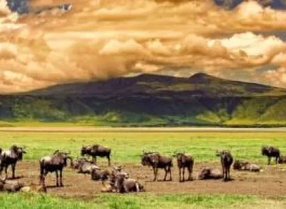 Ngorongoro Crater Private Day Tour