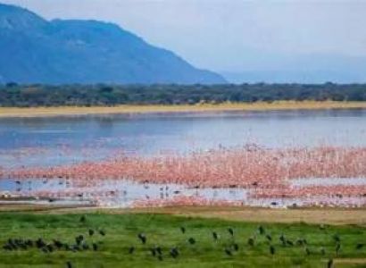 Lake Manyara Day Tour
