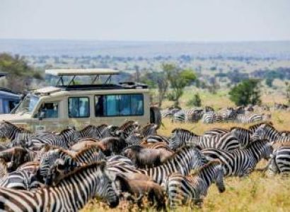 10-Day Serengeti Migration Safari Mid-Range Tour