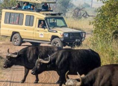 5 Day Fly Into Serengeti Great Migration Tour From Zanzibar