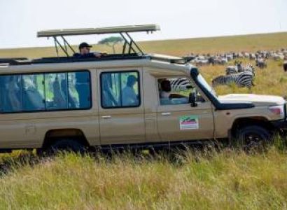 4 Days Migration Safari Western Corridor Tour