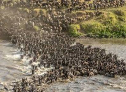 4 Days Masai Mara River Crossing Tour