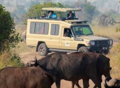 11 Day Migration Kenya And Tanzania Tour