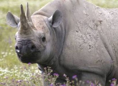 6 Days Tanzania Private Experience Tour