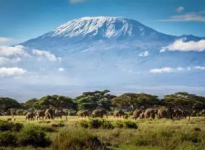 7 Days Kilimanjaro Trekking Machame Route Tour