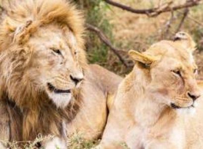 6 Days Magical Kenya Escape Adventure Tour