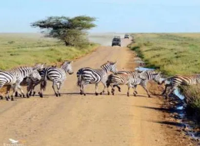 09 Days Kenya And Tanzania Tour
