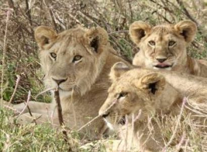 5-Day Kenya Budget Tour