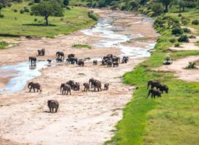 8 Days Kenya - Tanzania Safari Tour