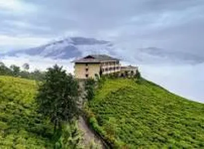 Yumthang Tour Packages