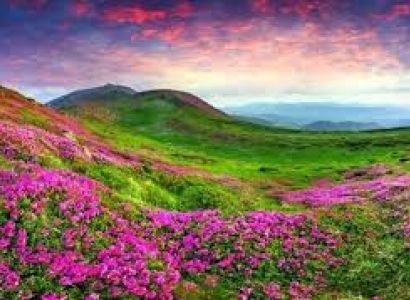 Lachung Tour Packages