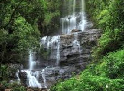 Coffee Plantations, High Peaks