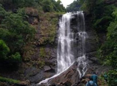 Coffee Plantations, High Peaks