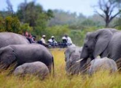 4 Days Amboseli - Tsavo West Tour