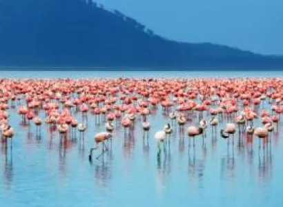 3 Nights To Lake Nakuru And Masai Mara Package
