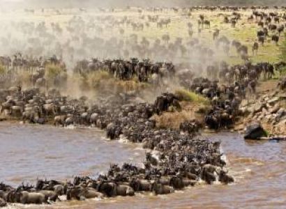 3 Days Masai Mara - Wildebeest Migration Safari Tour
