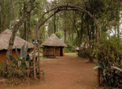 1Day Bomas Of Kenya Cultural Centre Tour