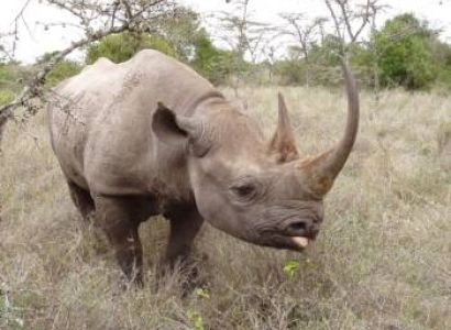 Samburu Tour Packages