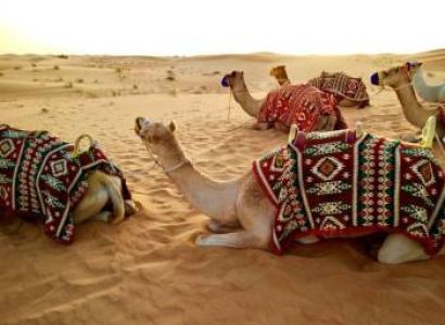 Dubai Delight - City - Desert - Abu Dhabi Experience 4 Nights - 5 Days Tour