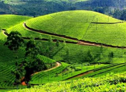 Discover Kerala 8 Days - 7 Nights Tour