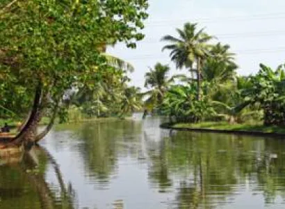 Thekkady Tour Packages