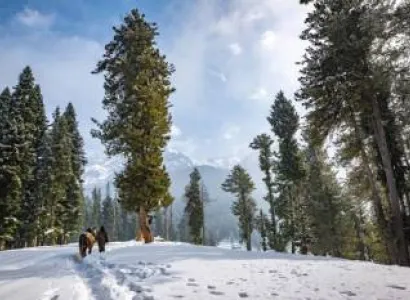 Kashmir Landscape 6 Nights - 7 Days Tour
