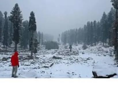 Kashmir Landscape 6 Nights - 7 Days Tour