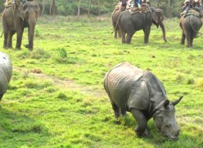 Kathmandu - Pokhara - Chitwan Package 8D 7N