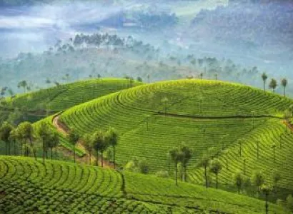 Discover Kerala 8 Days - 7 Nights Tour