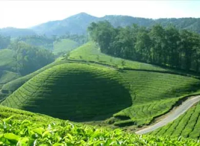 Discover Kerala 8 Days - 7 Nights Tour