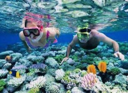 Neil Island Tour Packages