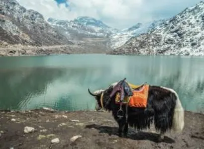 Sikkim Darjeeling Tour Package for 5 Nights and 6 Days